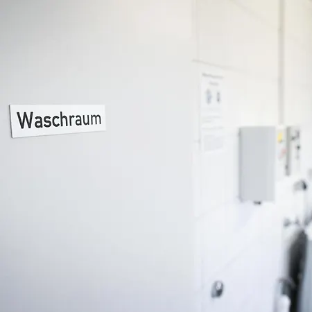 Sleep Space 2 - Tiny Spot Eider