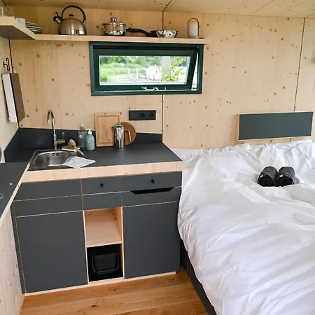 Sleep Space 2 - Tiny Spot Eider *