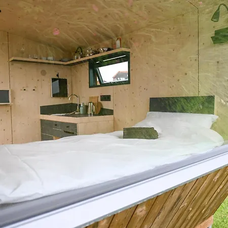 Sleep Space 2 - Tiny Spot Eider *
