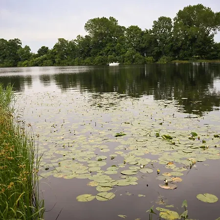 Sleep Space 2 - Tiny Spot Eider * Suderstapel