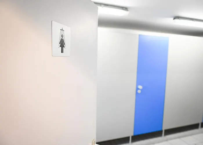 Sleep Space 2 - Tiny Spot Eider