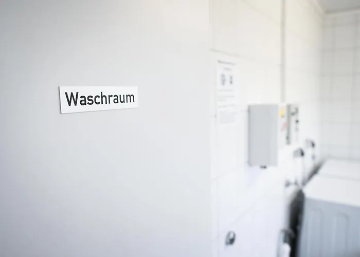 Sleep Space 2 - Tiny Spot Eider