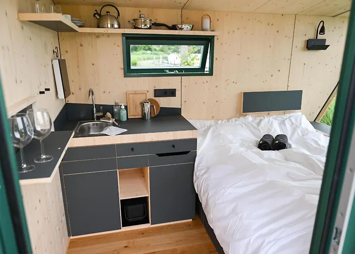 Sleep Space 2 - Tiny Spot Eider *