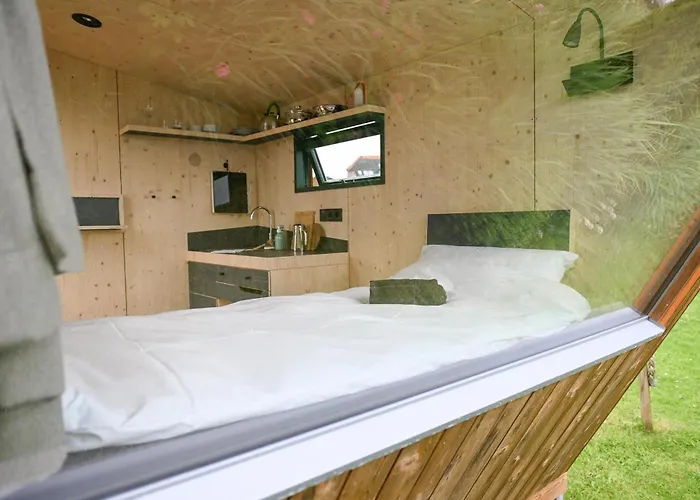 Sleep Space 2 - Tiny Spot Eider *