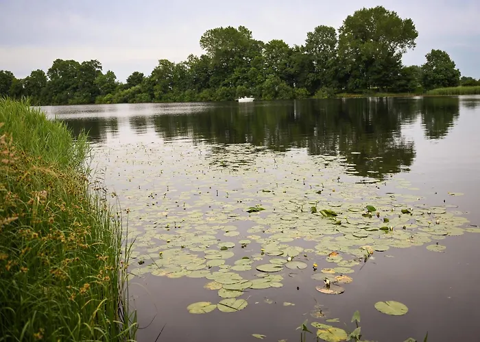 Sleep Space 2 - Tiny Spot Eider * Suderstapel